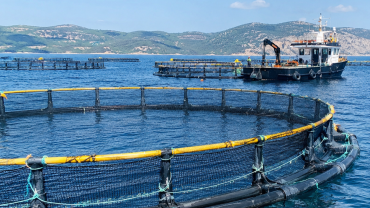 Jaulas circulares de malla con flotadores amarillos en el mar, con una embarcación de trabajo y montañas al fondo