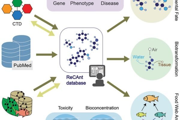 Diagrama del flujo de datos de la base de datos ReCAnt, mostrando conexiones con PubMed, ECOTOX, CTD y análisis de toxicidad
