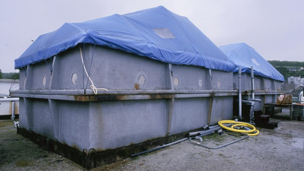 Tanques exteriores de una instalación de cultivo acuícola