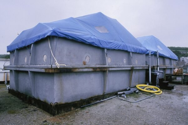 Tanques exteriores de una instalación de cultivo acuícola