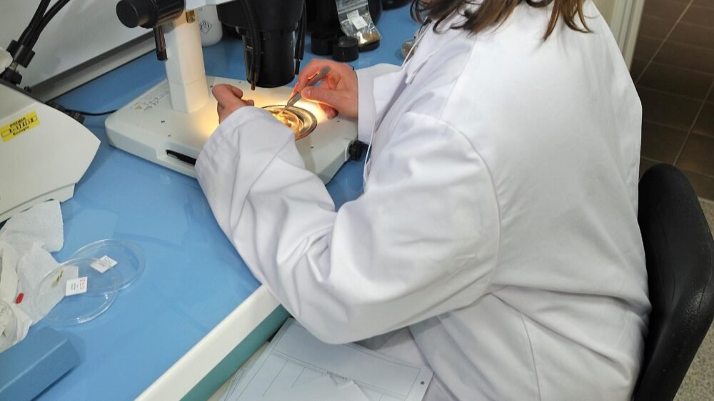 Análisis de muestras en un laboratorio de investigación marina