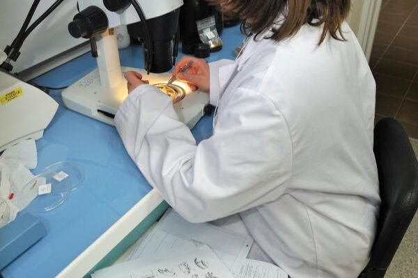Análisis de muestras en un laboratorio de investigación marina