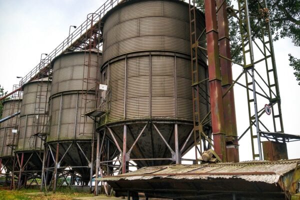 Alimentacion y piensos