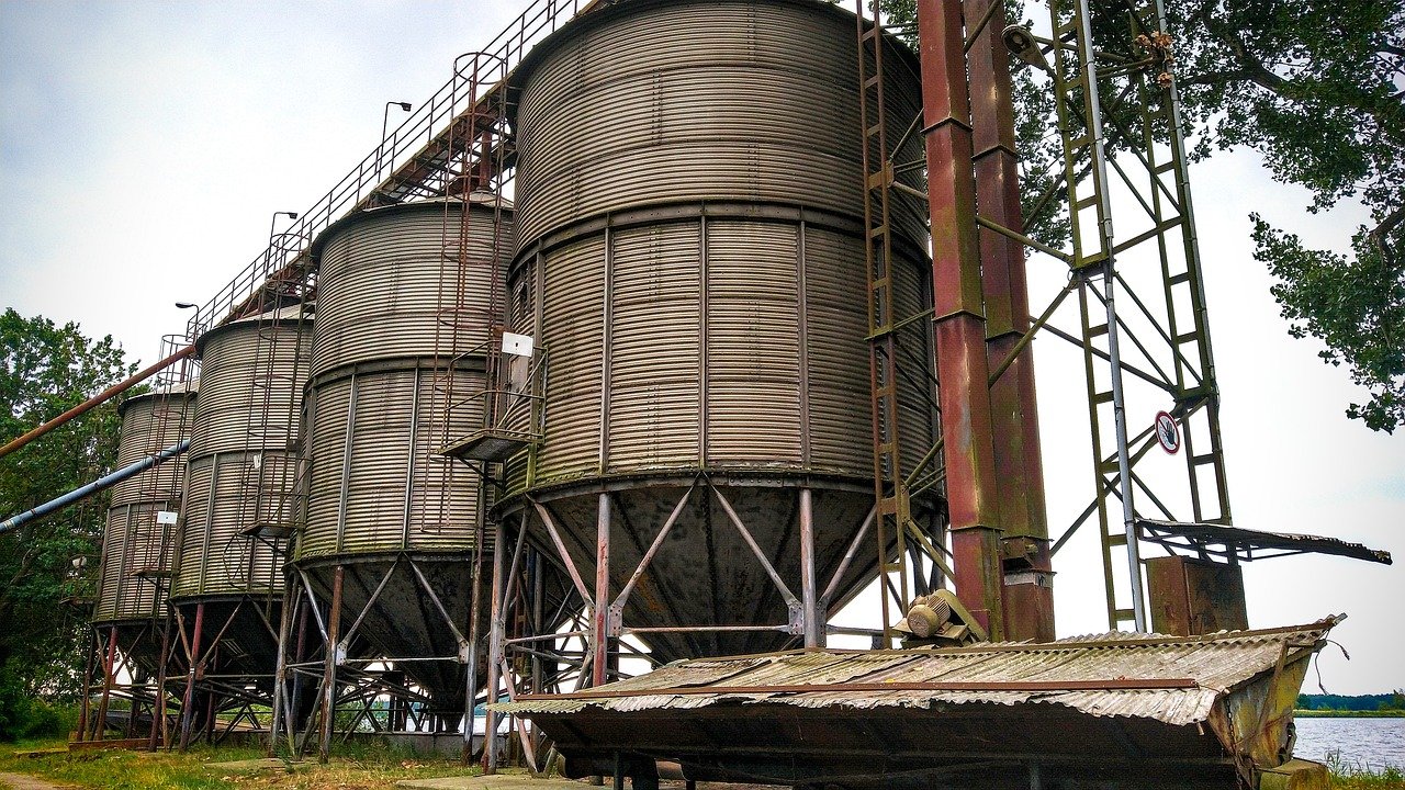 Alimentacion y piensos