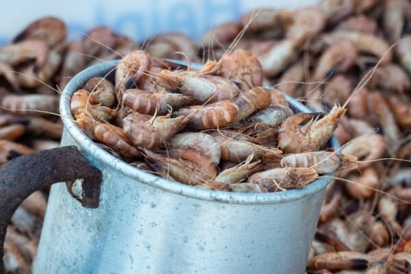 Camaron y langostino