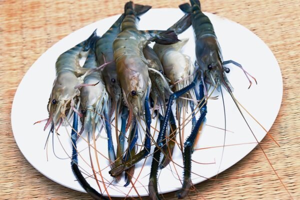 Camaron y langostino