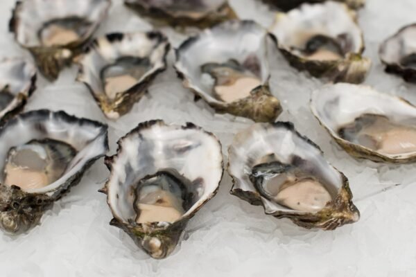 Ostra